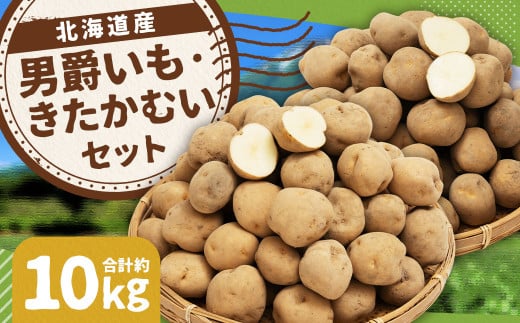 じゃがいも 男爵 きたかむい Lサイズ 各約5kg×1箱 計約10kg （JA） ジャガイモ 芋 いも イモ 食べ比べ 食べくらべ セット 国産 【2026年1月上旬-2月下旬迄発送予定】