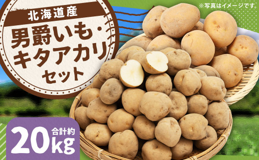 じゃがいも 男爵 キタアカリ Lサイズ 各約10kg×1箱 計約20kg （JA）