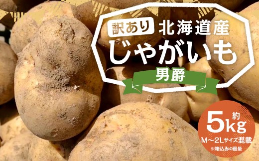 【訳あり】北海道産 じゃがいも 男爵 M～2Lサイズ混載 約5kg 1箱 山田農場 ジャガイモ 芋 いも イモ 訳アリ わけあり ワケアリ 国産 【2026年9月下旬-2027年1月上旬迄発送予定】
