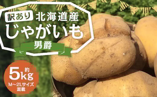 【訳あり】北海道産 じゃがいも 男爵 M～2Lサイズ混載 約5kg 1箱 山田農場 ジャガイモ 芋 いも イモ 訳アリ わけあり ワケアリ 国産 【2025年9月下旬-2026年3月上旬迄発送予定】