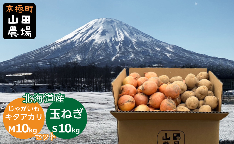 北海道産じゃがいも[キタアカリ]Mサイズ10kg・玉ねぎSサイズ10kgセット[京極町]じゃがいも 玉ねぎ 野菜 10kg セット 料理 キタアカリ