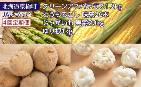 [4回定期便]北海道ようてい産 グリーンアスパラ1.2kg・スイートコーン「味来」26本・じゃがいも20kg(男爵)・ゆり根1kg[JAようてい][ 野菜 定期便 ]