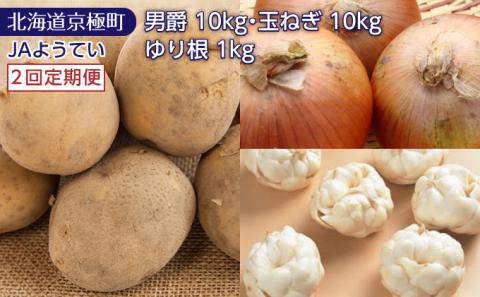 [2回定期便]北海道ようてい産 じゃがいも玉ねぎセット20kg(男爵10kg・玉ねぎ10kg)・ゆり根1kg[JAようてい][ 野菜 じゃがいも 百合根 定期便 ]
