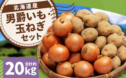 じゃがいも 男爵 Lサイズ 約10kg×1箱・玉ねぎ L大サイズ 約10kg×1箱 （JA） 計約20kg セット ジャガイモ 芋 いも イモ 玉葱 タマネギ たまねぎ 詰め合わせ 詰合せ 国産 【2025年11月上旬-12月下旬迄発送予定】