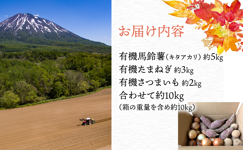【2026年発送】 北海道 オーガニック 秋の味覚 じゃがいも 玉ねぎ さつまいも 約10kg 札幌黄 キタアカリ 馬鈴薯 ポテト サツマイモ 有機野菜 JAS 産直 産地直送