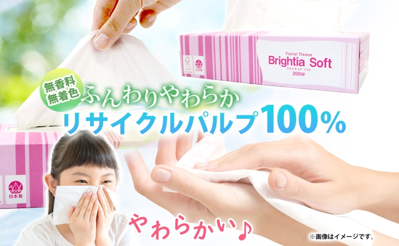 定期便 6ヵ月連続 ブライティア ソフト ボックス ティッシュ 200組 400枚 15箱 (5箱×3) BOX  ジョイマインドトイレットペーパー ロングロール シングル 72ロール (12ロール×6個パック) 長さ110m 日本製 北海道 倶知安町 日用品