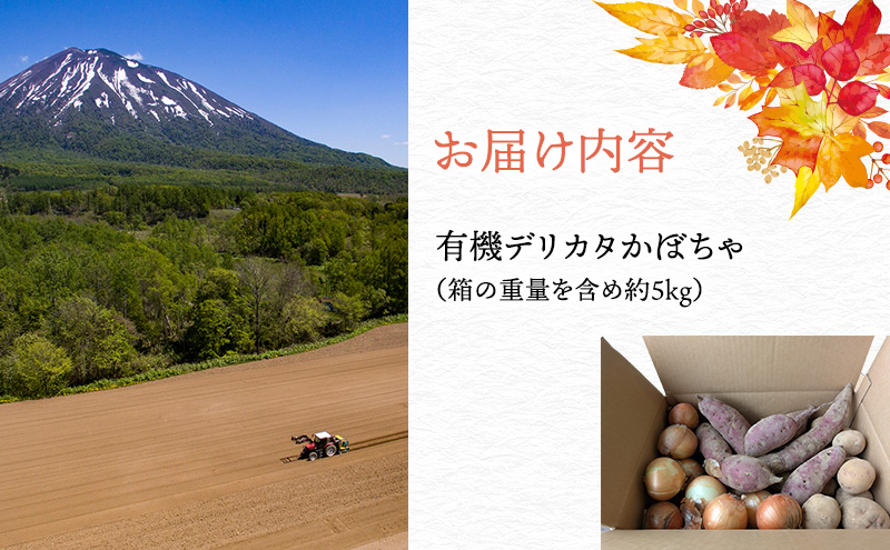 【2026年発送】 オーガニック かぼちゃ デリカタ BOX 約5kg 有機栽培 南瓜 カボチャ 北海道 倶知安 ニセコグリーンファーム