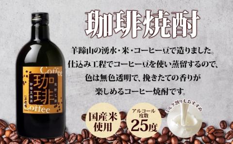 北海道 珈琲焼酎 ＆ 特別本醸造 雪しずく セット 各1本 720ml お酒 日本酒  焼酎 コーヒー焼酎 本醸造 地酒 飲み比べ グルメ お取り寄せ ギフト お中元 お歳暮 二世古酒造
