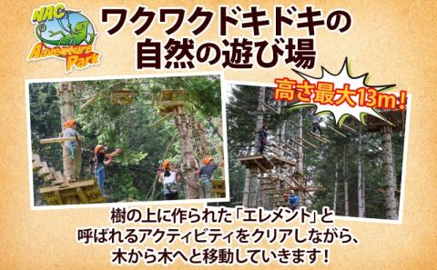 NACアドベンチャーパーク大人1日券