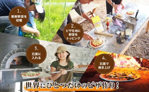 【2026年】北海道 オーガニック 野菜収穫＆ピザ作り 体験 2名様分 ペア チケット 体験型 ツアー 夏休み 野菜 有機野菜 ピザ ハウス 収穫 新鮮 ニセコグリーンファーム 送料無料 体験チケット