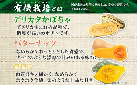 【2026年発送】北海道 オーガニック ３種 の かぼちゃBOX 計約4kg カボチャ デリカタ ミニバターナッツ ロロン 南瓜 有機野菜 野菜 有機栽培 JAS 産直 産地直送 国産 ニセコグリーンファーム