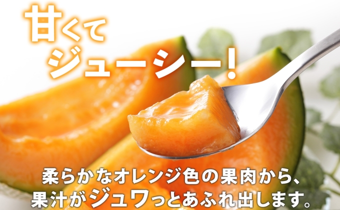 北海道産 赤肉メロン 秀品 3玉 果物 フルーツ お取り寄せ めろん 甘い ギフト メロン グルメ お祝い お土産 旬 メロン スイーツ デザート 羊蹄山 蒔田農園 しりべしや ニセコファーム