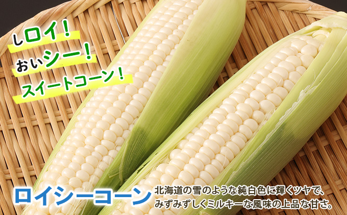 【 2025年 発送 】 先行予約  北海道産 とうもろこし ロイシーコーン 計18～20本 10kg前後 L-LL 旬 白い スイート コーン トウモロコシ お取り寄せ 産地直送 野菜 とうきび