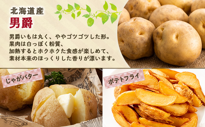 北海道産 道塚農園 じゃがいも 食べ比べ 2種セット 男爵 北あかり 計10kg前後 L-LLサイズ ジャガイモ きたあかり農作物 お取り寄せ【じゃがいも・野菜・芋】