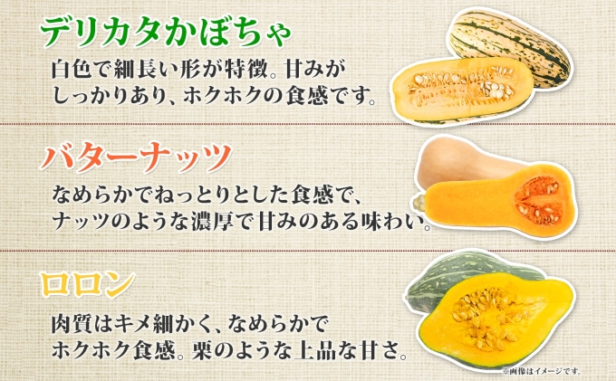 北海道産 旬の有機栽培野菜 かぼちゃ 3.5kg ミニバターナッツ デリカタ ロロン 有機栽培 オーガニック 有機野菜 有機jas認証 西洋野菜 新鮮 お取り寄せ 送料無料 ニセコ