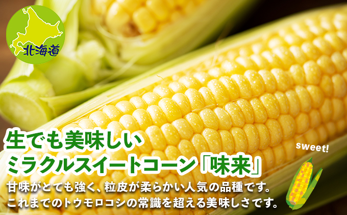北海道 倶知安町 とうもろこし 味来 みらい 北海道 5kg 2Lサイズ 大きめ 夏野菜 とうきび 旬 新鮮 野菜 トウモロコシ ギフト 産地直送 産直 お取り寄せ 詰め合わせ 送料無料
