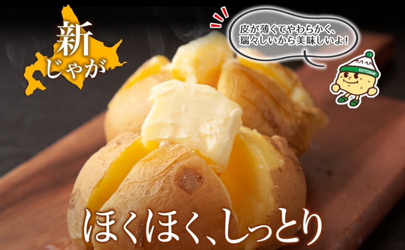 北海道産 じゃがいも 男爵 5kg 規格外 訳あり S-3L サイズ混合 新じゃが 芋 ジャガイモ いも 新鮮 野菜 農作物 お取り寄せ 男しゃく 馬鈴薯 ニセコファーム 送料無料 北海道