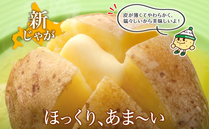 北海道産 じゃがいも きたあかり 10kg 規格外 訳あり S-3L サイズ混合 新じゃが 芋 ジャガイモ 野菜 農作物 お取り寄せ キタアカリ 馬鈴薯 ニセコファーム 送料無料 北海道