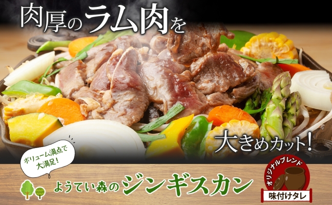 ようてい森のバーベキューセット ジンギスカン 300g 味付鶏もも肉 300g 計600g 詰め合わせ 羊 グルメ 鶏 モモ BBQ ラム お取り寄せ 小分け タレ付 エムアンドエフサービス