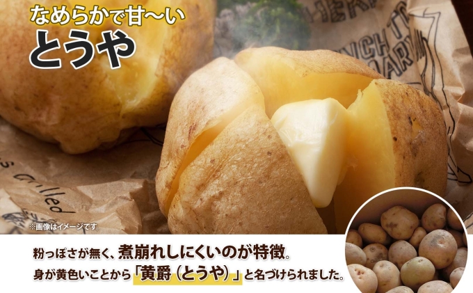 北海道産 じゃがいも とうや Lサイズ 10kg 馬鈴薯 黄爵 ジャガイモ ポテト 芋 いも 旬 イモ 野菜 農作物 産地直送 産直 常温 北海道 お取り寄せ 送料無料 倶知安町