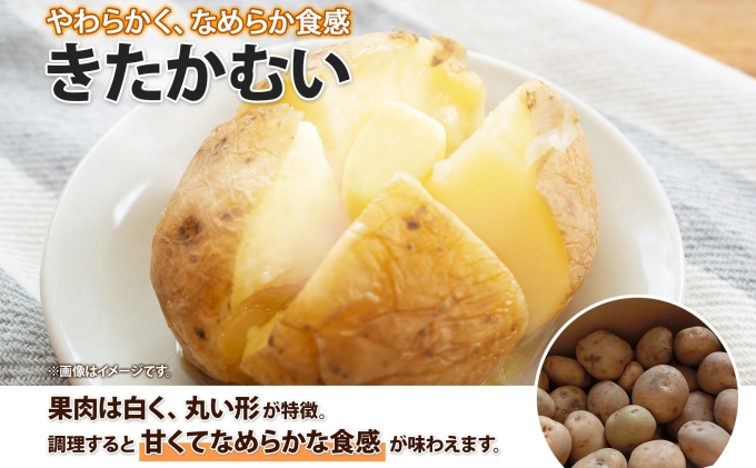 北海道産 じゃがいも きたかむい Lサイズ 10kg 馬鈴薯 キタカムイ ジャガイモ ポテト 芋 いも 旬 イモ 野菜 農作物 産地直送 産直 常温 北海道 お取り寄せ 送料無料 倶知安町