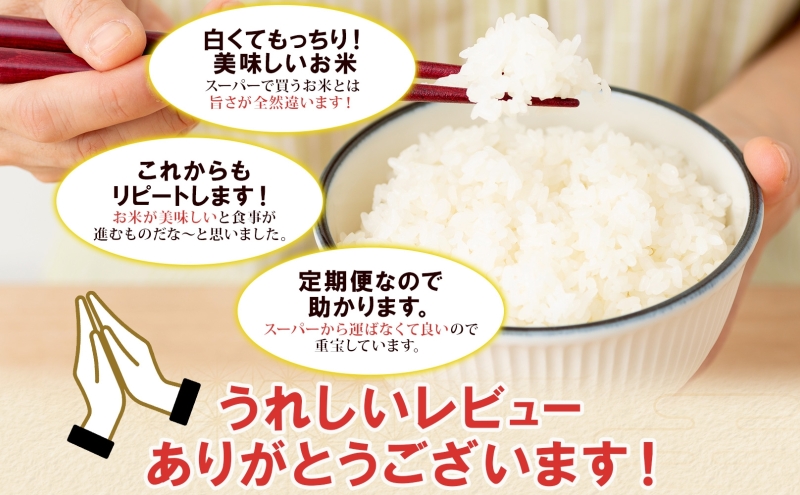 定期便 12ヶ月連続12回 北海道産 ゆめぴりか 精米 5kg 米 新米 特A 白米 お取り寄せ ごはん 道産米 ブランド米  1年 お米 ご飯 おまとめ買い【定期便・お米・ゆめぴりか・精米】