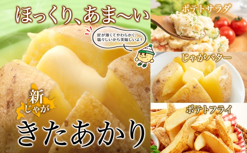 北海道産 じゃがいも 男爵 きたあかり 食べ比べ 10kg 規格外 訳あり S-3L サイズ混合 新じゃが 芋 ジャガイモ いも 新鮮 野菜 農作物 お取り寄せ 男しゃく 馬鈴薯 ニセコファーム 送料無料