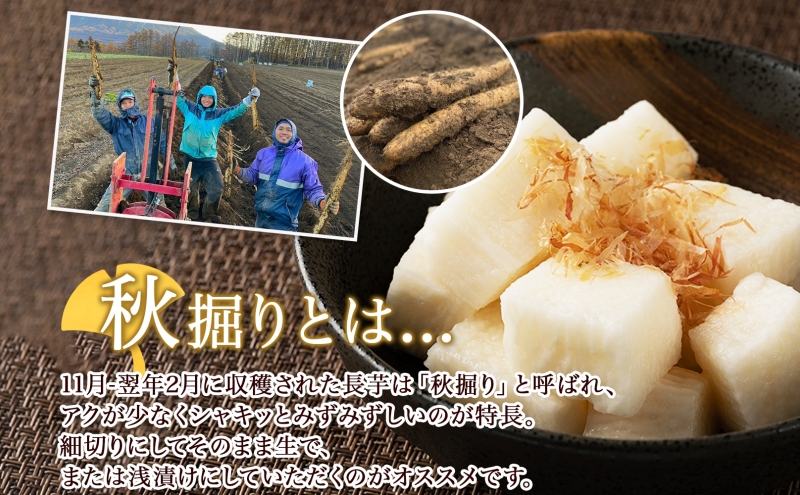 【 2026年 出荷 】 北海道 倶知安町産 長芋 2L×約6本 計5kg 秋堀り 芋 ながいも とろろ 新鮮 フレッシュ 野菜 農作物 産直 山芋 麦とろ 山かけ おつまみ グリーンアースファーム 送料無料 北海道 倶知安町 新鮮野菜