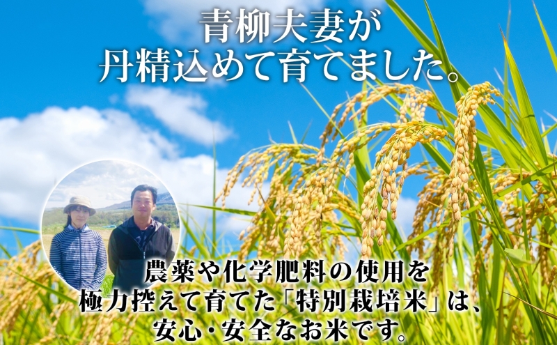 北海道 倶知安町産 ゆめぴりか 特別栽培米 精米 5kg×4袋 計20kg 米 特A 白米 お米 道産米 ブランド米 契約農家 ごはん 炊き立て ご飯 もちもち  国産 人気 お取り寄せ ギフト 贈り物 備蓄 保存 おまとめ買い ショクレン 送料無料 倶知安