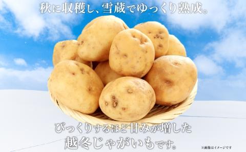 北海道産 越冬 じゃがいも 2種 詰め合わせ 男爵 きたあかり 各5kg 計10kg M-L サイズ混合 芋 ジャガイモ いも 野菜 お取り寄せ キタアカリ ニセコファーム 送料無料