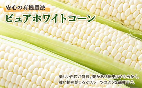 北海道産 とうもろこし 有機 ピュアホワイトコーン 3kg L-LL オーガニック 旬 白い スイート コーン トウモロコシ お取り寄せ 産地直送 野菜 とうきび 送料無料 北海道 倶知安町