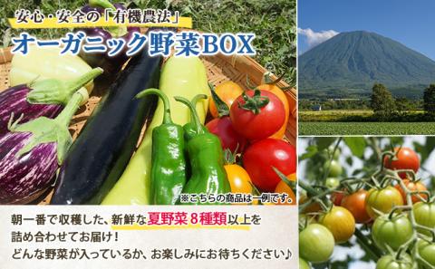 北海道産 有機 野菜BOX 8種類 詰め合わせ セット 採れたて 夏野菜 オーガニック 旬 新鮮 詰め合わせ お取り寄せ 産地直送 産直 野菜 農作物 ギフト 送料無料 北海道 倶知安町