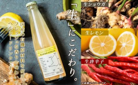 北海道 自家製 ジンジャービア 200ml×6本 HAKKO GINGER 発酵 ジンジャー ビール 生姜 レモン 辛口 ノンアルコール 炭酸 ヘルシー