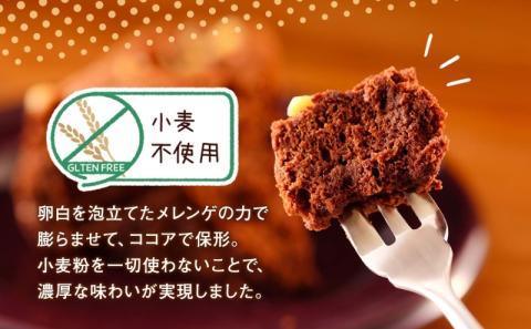 北海道 ガトーショコラ くるみ ホール 15cm×1個 5号 ショコラ 洋菓子 焼き菓子 おやつ デザート 誕生日 記念日  グルテンフリー 冷凍 お菓子のふじい ニセコ 送料無料 北海道 倶知安町