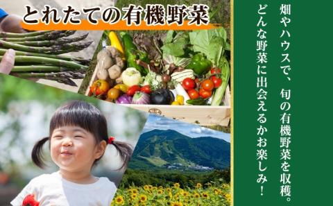 【2026年】北海道 オーガニック 野菜収穫＆ピザ作り 体験 2名様分 ペア チケット 体験型 ツアー 夏休み 野菜 有機野菜 ピザ ハウス 収穫 新鮮 ニセコグリーンファーム 送料無料 体験チケット