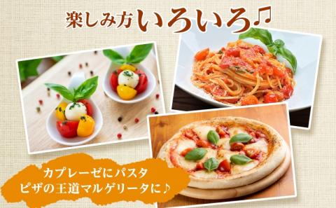 北海道 有機栽培 ミニトマト＆スイートバジル 約1kg 詰め合わせ プチトマト トマト バジル オーガニック 有機野菜 JAS 産直 産地直送 ニセコグリーンファーム