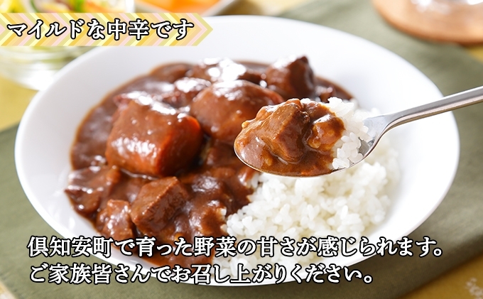 無地熨斗 倶知安 ビーフカレー 中辛 計3個 北海道 レトルト
