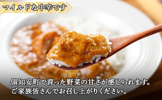 無地熨斗 倶知安 ポークカレー 中辛 計3個 北海道 カレー レ