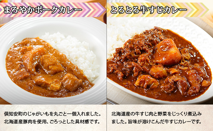 北海道 倶知安 カレー 4種 食べ比べ 各5個 計20個 中辛 スー