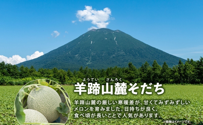 北海道産 赤肉メロン 秀品 2玉 果物 フルーツ お取り寄せ めろん 甘い ギフト メロン グルメ お祝い お土産 旬 メロン スイーツ デザート 羊蹄山 蒔田農園 しりべしや ニセコファーム