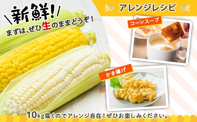 【 2025年 発送 】 先行予約 北海道産 とうもろこし ロイシーコーン サニーショコラ 計18～20本 10kg前後 L-LLサイズ 旬 スイート コーントウモロコシ とうきび 新鮮 農作物 野菜 産地直送