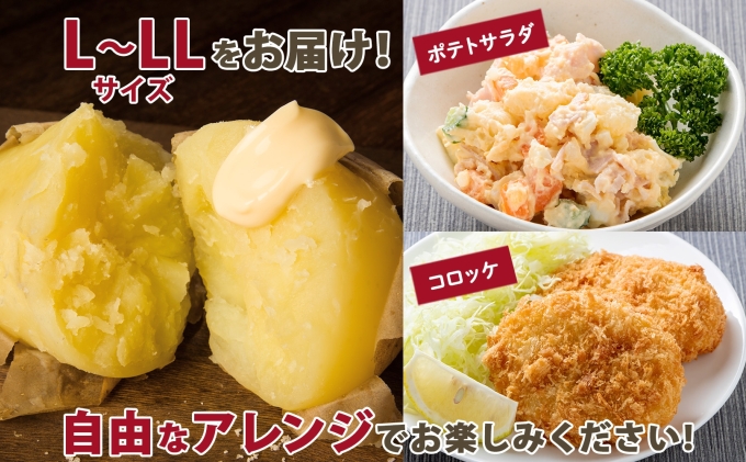 【 2025年 発送 】 先行予約 北海道産 道塚農園 じゃがいも 北あかり 計10kg前後 L-LLサイズ ジャガイモ きたあかり キタアカリ 馬鈴薯 芋 いも イモ 農作物 野菜 産地直送