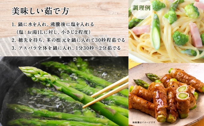 【 2025年発送 】先行予約  北海道 グリーンアスパラガス 約1kg M-L サイズ混合 アスパラガス アスパラ 朝採れ 採れたて 新鮮 野菜 農作物 産直 国産 羊蹄山麓産 JAようてい