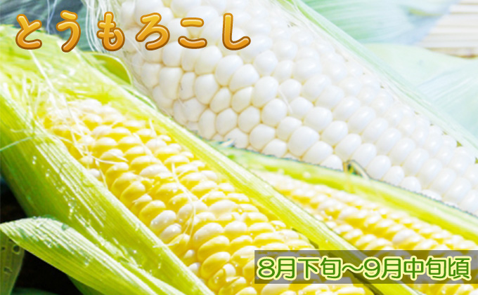 【ニセコファーム】定期便 新鮮 野菜便り 北海道 倶知安町 新鮮 採れたて とうもろこし 夏野菜 じゃがいも 玉ねぎ