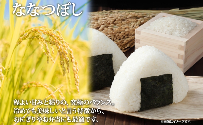 北海道産 ななつぼし 精米 5kg お米 米 特A 白米 ブランド米 ご飯 ごはん おにぎり 主食 産直ギフト備蓄 JAようてい 送料無料 北海道 倶知安町