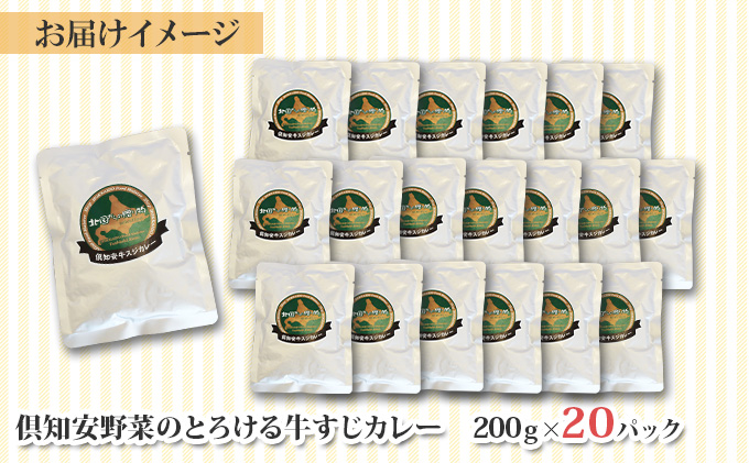 北海道 倶知安 牛すじカレー 200g 20個  中辛 レトルト食品 加工品 時短 牛すじ 野菜 じゃがいも お取り寄せ グルメ 詰め合わせ【お肉・牛肉・加工食品・惣菜】