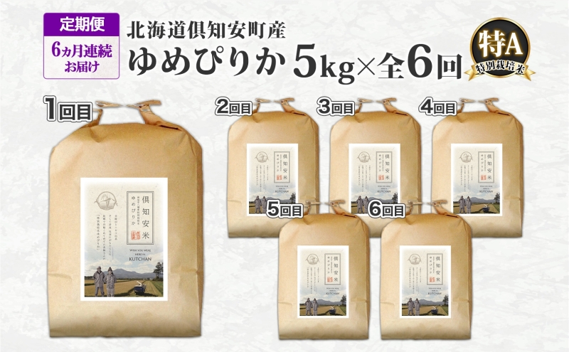 定期便 6ヵ月連続 全6回 北海道 倶知安町産 ゆめぴりか 特別栽培米 精米 5kg 米 特A 白米 お米 道産米 ブランド米 契約農家 ごはん ご飯 もちもち  国産 人気 お取り寄せ ギフト 贈り物 備蓄