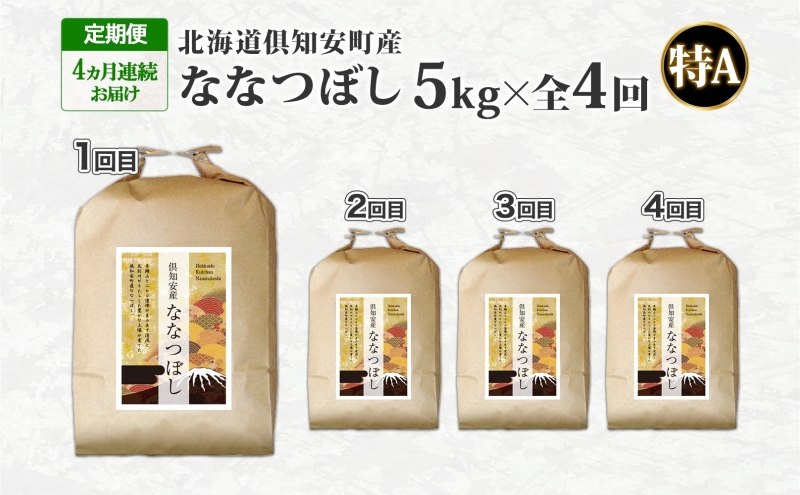 北海道 定期便 4ヵ月連続 全4回 倶知安町産 ななつぼし 精米 5kg 米 特A 白米 お米 道産米 ブランド米 契約農家 ごはん ご飯 あっさり ふわふわ 国産 人気 お取り寄せ ギフト 贈り物 備蓄