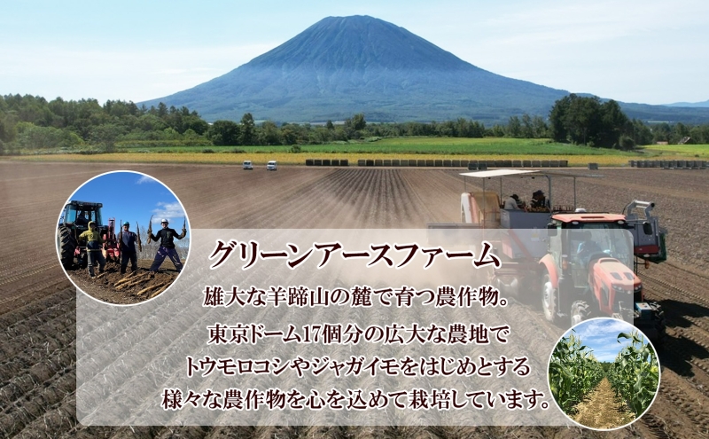 【 2026年 出荷 】 北海道 倶知安町産 長芋 2L×約6本 計5kg 秋堀り 芋 ながいも とろろ 新鮮 フレッシュ 野菜 農作物 産直 山芋 麦とろ 山かけ おつまみ グリーンアースファーム 送料無料 北海道 倶知安町 新鮮野菜