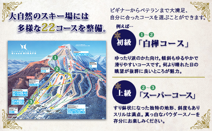 ニセコ 全山共通 リフト券 All Mt.Pass 1日券 【10枚】 2023-2024シーズン ニセコ東急グラン・ヒラフ引換専用:  倶知安町ANAのふるさと納税